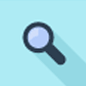 Private Investigator